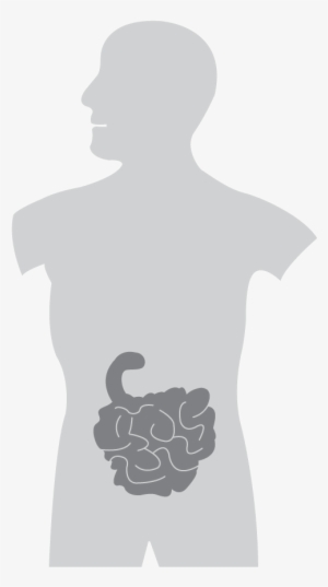 Coffee And Disorders Of The Small Intestine - Coffee #2947561