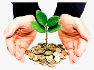 Donate - Investor Money #2947893