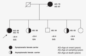 Pedigree Of The Family - Diagram #2948380