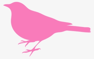 Pink Bird Silhouette Svg Clip Arts 600 X 380 Px #2948741 Pink Bird Silhouette Svg Clip Arts 600 X 380 Px #2948741