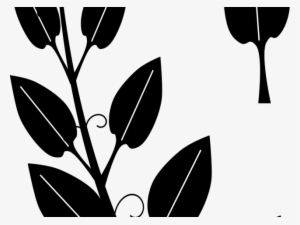 Vines Clipart Vine Leaves - Black And White Silhouette Vine Clipart #2949207
