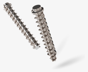 Bone Screw - Ally Bank #2949893