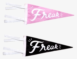 Freak Flag Pennant - Flag #2950050