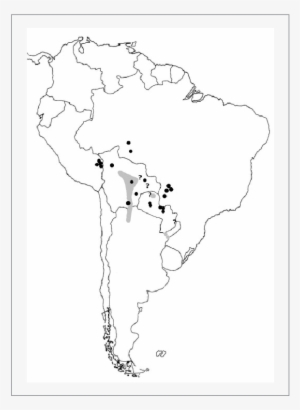 Área De Cría Del Piojito Picudo , Inezia Inornata - Plain Inezia #2950097
