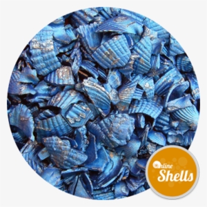 Recycled Coloured Shell - Information #2950099