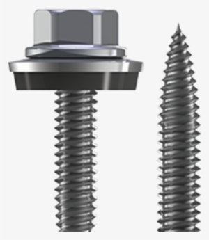 Rp T2 - Portable Network Graphics #2950379