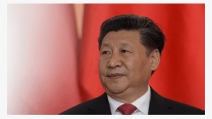 “i'd Never Seen Fleas In The City - Hong Kong President 2017 #2950425