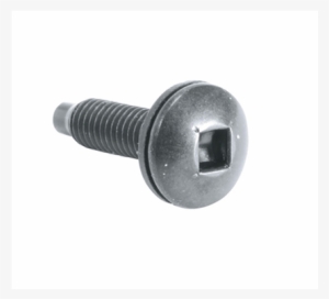 Security Screws - Robertson Screw #2950543 Security Screws - Robertson Screw #2950543