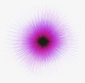 Freetoedit Remixit Ftestickers Flower Starburst Purple - Macro Photography #2950684