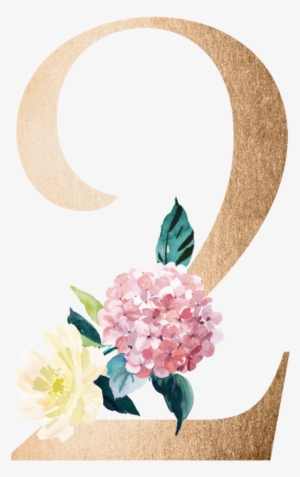 2 Dos Numero Numeros Number Two - Number #2951075