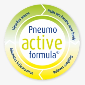 Prospan® Cough Syrup - Leaflet Prospan #2952813