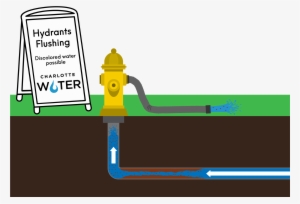 Discolored Water Is Possible - Charlotte Water #2953297