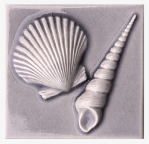 4 1/4" X 4 1/4" Scallop/screw Shells #2953298