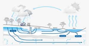 In Some Systems Groundwater May Flow Quickly Over Days - Illustration #2953377