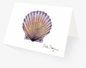 Scallop - Shell #2953395