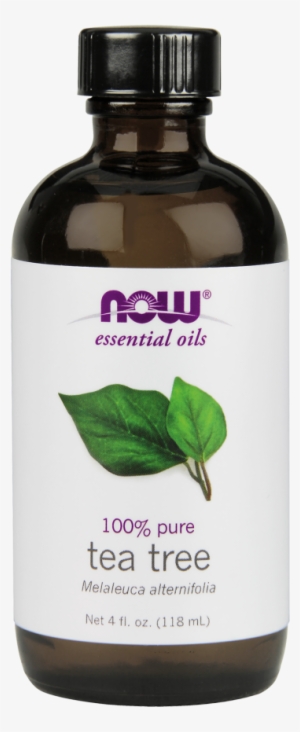 Tea Tree Oil - Fl Oz Now Foods Rosemary Essential Oil #2953517