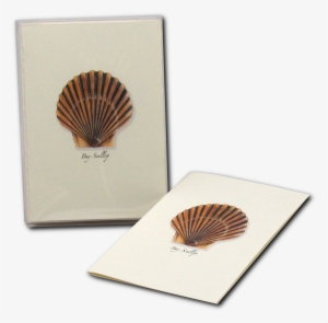 Shopping Cart -  -  - Shell #2953602