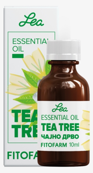 Tea Tree Essential Oil Melaleuca Alternifolia - Essential Oil #2953690