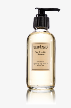 Evan Healy Tea Tree Gel Cleanser 120ml Cleanser #2953992