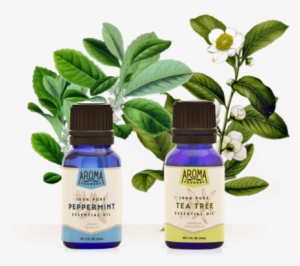 Wardee Peppermint And Tea Tree Oil Bundle - All About Tea By William Ulkers #2954387
