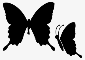 Butterfly Comments - Butterfly #2954883