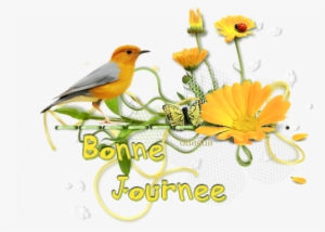 Tube Fiori Png #2955802