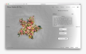 Captura De Pantalla 2017 04 21 A Las - Webflow Radial #2955945