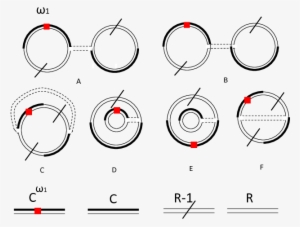 Intermediate Feynman Graphs For The First Order Slice-testing - Circle #2956010