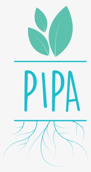 Pipa Png #2956289