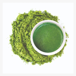 Latest Fitness Trends To Keep You In Shape - Matcha #2956868