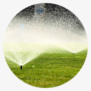 Irrigation System Management - Irrigation #2957019