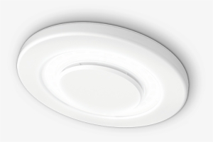 Rapidrop Lumi-plugin Concealed Sprinkler [installed - Circle #2957067