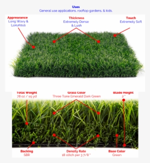 Premium Grass Blades #2957401