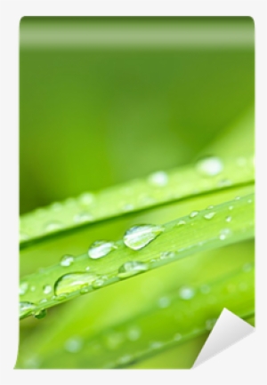 Water #2957645