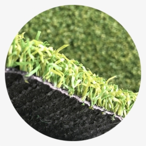 30mm Height Turf Grass Blade Artificial Gras - Artificial Turf #2957702