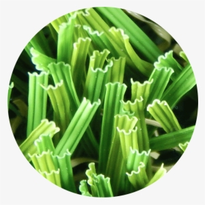 Waveblade™ Technology - Produce #2958043