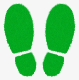 Green Prato Grass - Ecology #2958066