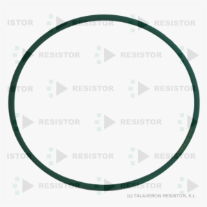 Correa Torica Linea Blanca - Circle #2958121