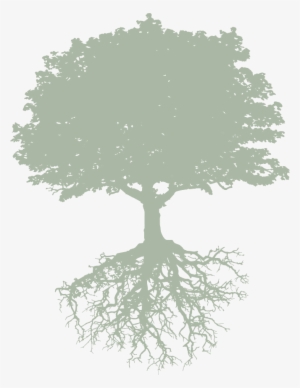 Picture - Lies: Ann Putnam Jr.'s Recounting #2958631