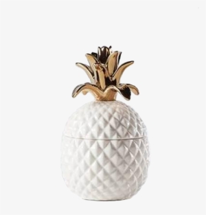 Ceramic Pineapple Canister - White Canisters By Torre & Tagus - White #2958632