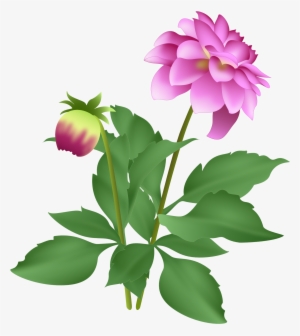 As Long As I Keep Dead Heading, It Continues To Flower - Dahlia #2958914