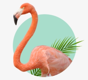 En Un Hecho Sin Precedentes, La Fundación Pedro Y Elena - Palm Tree Leaves Png #2959141