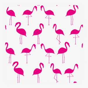 1,50 € Extra En Este Producto - Flamenco #2959250