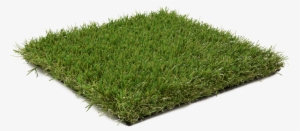 Highland - Lawn #2959944