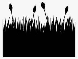 28 Collection Of Rye Field Drawing - Flower Field Silhouette Png #2960090