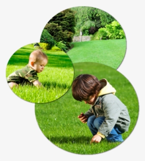 Blades Landscaping Is A Family Owned Business Started - Modbury Two In One Convertible Garden Bench #2960109