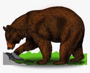 Bear Free To Use Cliparts - Bear Clipart #2960296