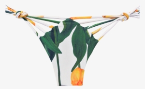 Botanica Flowerfield V Knot Bottom - Thong #2960601