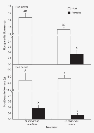 Host And Parasite Biomass Harvested From Pot-cultivated - Diagram #2961157