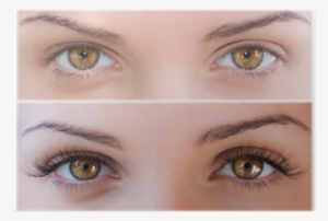 Don T Have Eyelashes #2963119